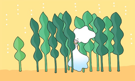 盐城市经贸高级职业学校2026年专业招生计划