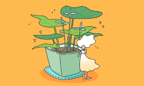 宁波东钱湖旅游学校2026年报名指南