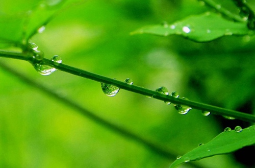 南宁2023年读会计专业去哪所学校好