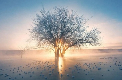 商丘2023年读会计电算化专业哪所中专学校好