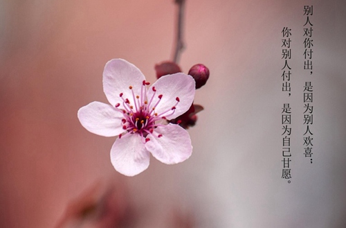 甘南2023年初中生读口腔工艺专业哪所学校好