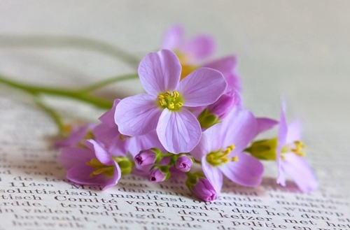 兰州2023年电子商务专业哪个中专学校好