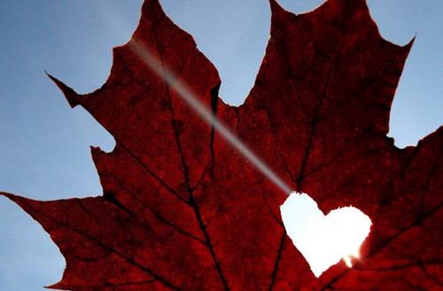 铜仁2023年读药物制剂专业哪所学校好