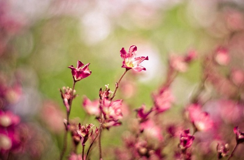 2023年读电子信息工程专业选择昆明哪所技工学校比较好