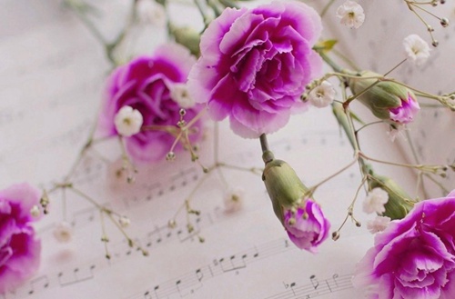 庆阳2023年读护理专业去哪所学校好