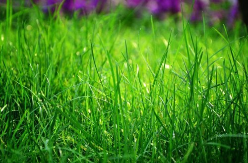 茂名2023年读模具制造专业哪所中专学校好