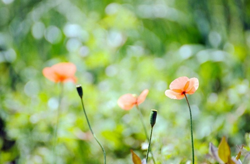 贵阳2023年初中生读发电厂电力技术专业有哪些学校