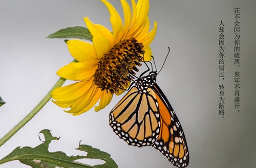 兰州2023年焊接技术与工程专业哪个技工学校好