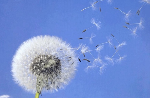 昆明2023年哪个技工学校的数控车工专业好