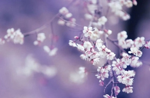 黔西南2023年比较好且开设有服装设计与工艺专业的职业中学有哪些