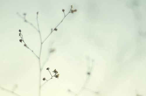 绍兴2023年读装配式建筑施工技术专业哪所职教中心好