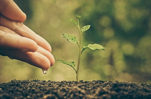 武汉2023年有哪所学校有建筑工程施工专业