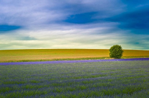 2023年工程造价专业贵阳哪个中专学校好