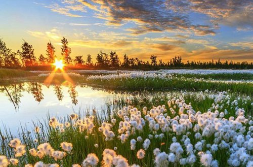 定西2023年初中生读无人机专业哪所学校好