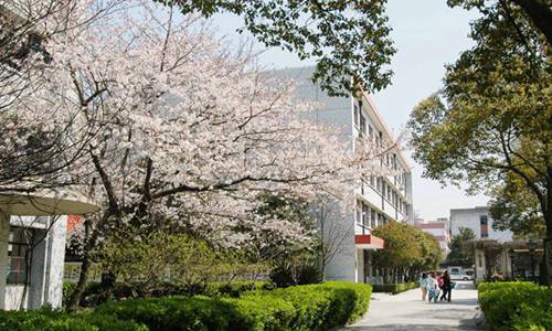 2023年读药剂专业选择柳州哪所中专学校比较好