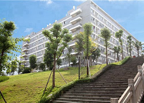 定西2023年读航空服务专业去哪所学校好