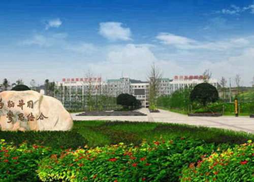 重庆2023年读叉车专业哪所学校好