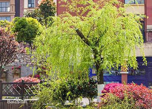 2023年黄冈财会专业中专学校哪所好
