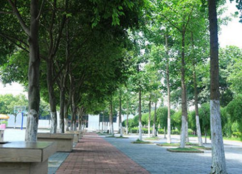 2023年数字影像技术专业定西哪个中专学校好