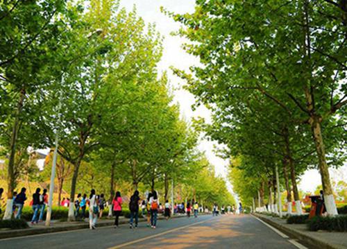 酒泉2023年读电子与信息技术专业哪所职业学校好