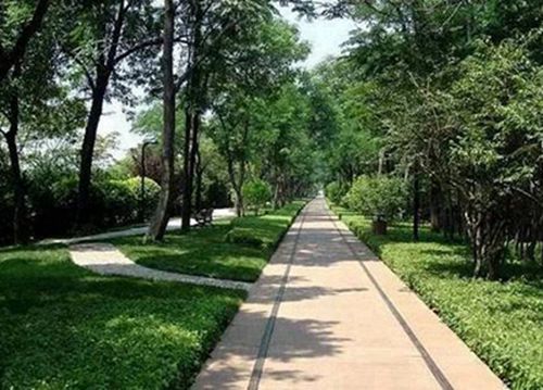 郑州2023年读汽车营销与服务专业哪所学校好