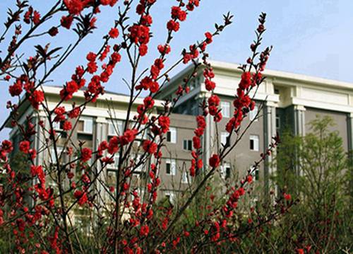 白银2023年哪个技工学校的陶瓷工艺专业好