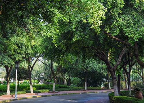 2023年健美操专业石家庄哪个职业学校好